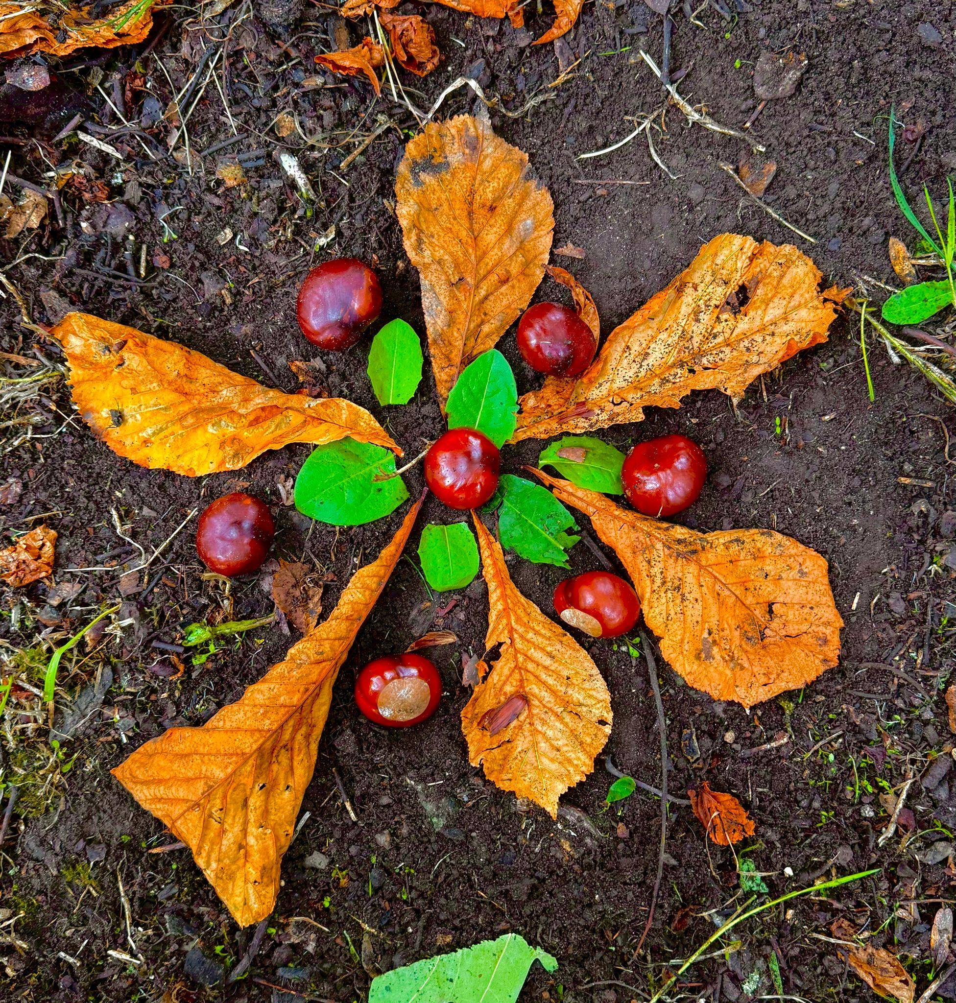 3fab6103 76c8 406e be3a acf9bd0daa8f